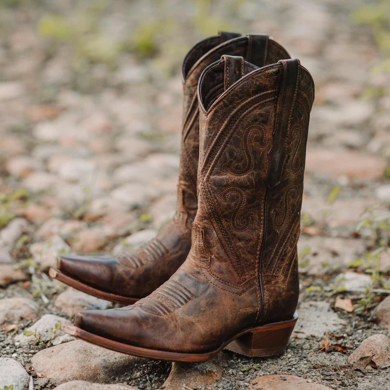 Soto Boots Cheyenne Cowgirl Boots Womens Snipped Toe