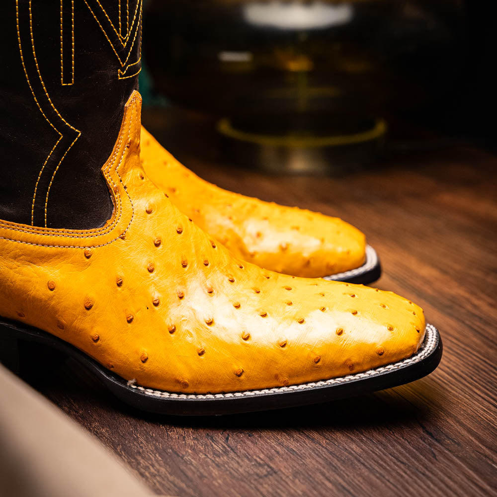 Marco Di Milano Alabama Men's Exotic Cowboy Boots – Full-Quill Ostrich | Buttercup Square Toe