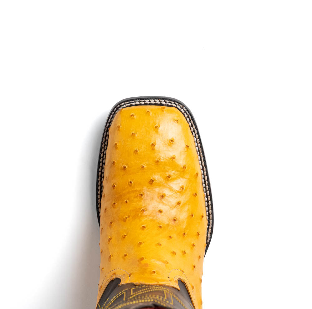 Marco Di Milano Alabama Men's Exotic Cowboy Boots – Full-Quill Ostrich | Buttercup Square Toe
