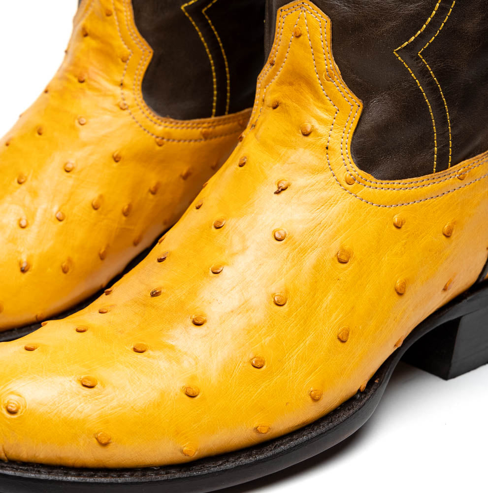 Marco Di Milano Savannah Men's Exotic Cowboy Boots – Full-Quill Ostrich | Buttercup Round Toe