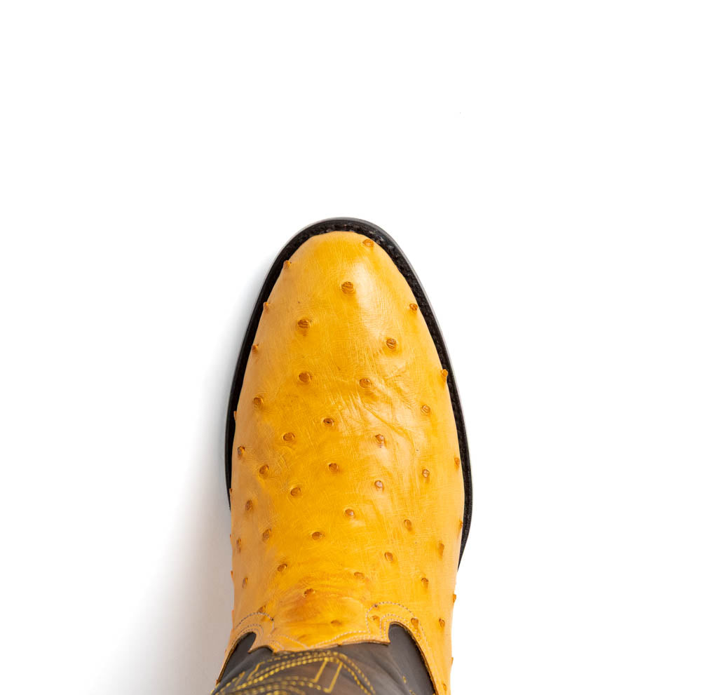 Marco Di Milano Savannah Men's Exotic Cowboy Boots – Full-Quill Ostrich | Buttercup Round Toe