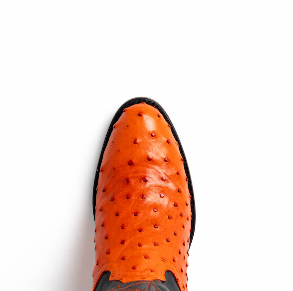 Marco Di Milano Savannah Men's Exotic Cowboy Boots – Full-Quill Ostrich | Orange Round Toe